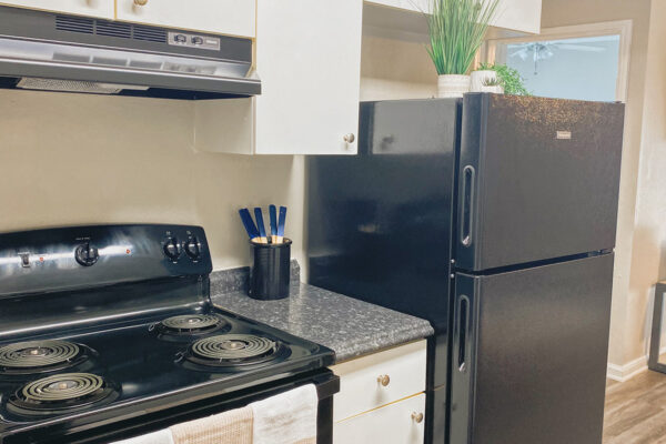Renovated kitchen and with modern cabinets and appliances including stove and refrigerator - University Trails Prairie View Student Housing